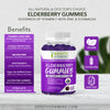 Elderberry Gummies - Gevity Vitamins